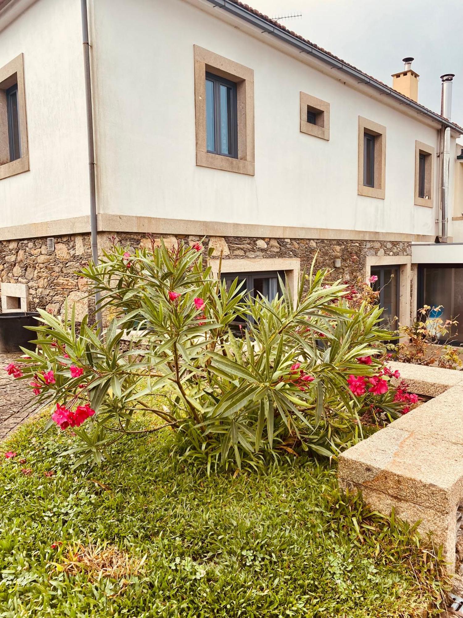 Serra De Arga Mountain House Montaria 外观 照片